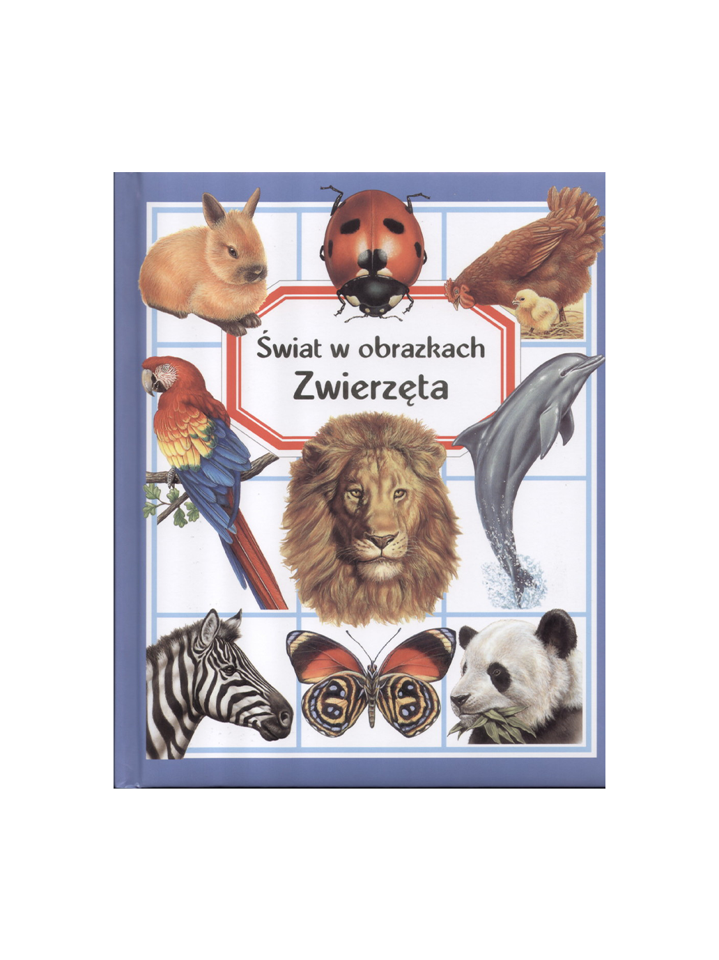 Świat w obrazkach. Zwierzęta Wydawnictwo Olesiejuk BÉBÉ Concept