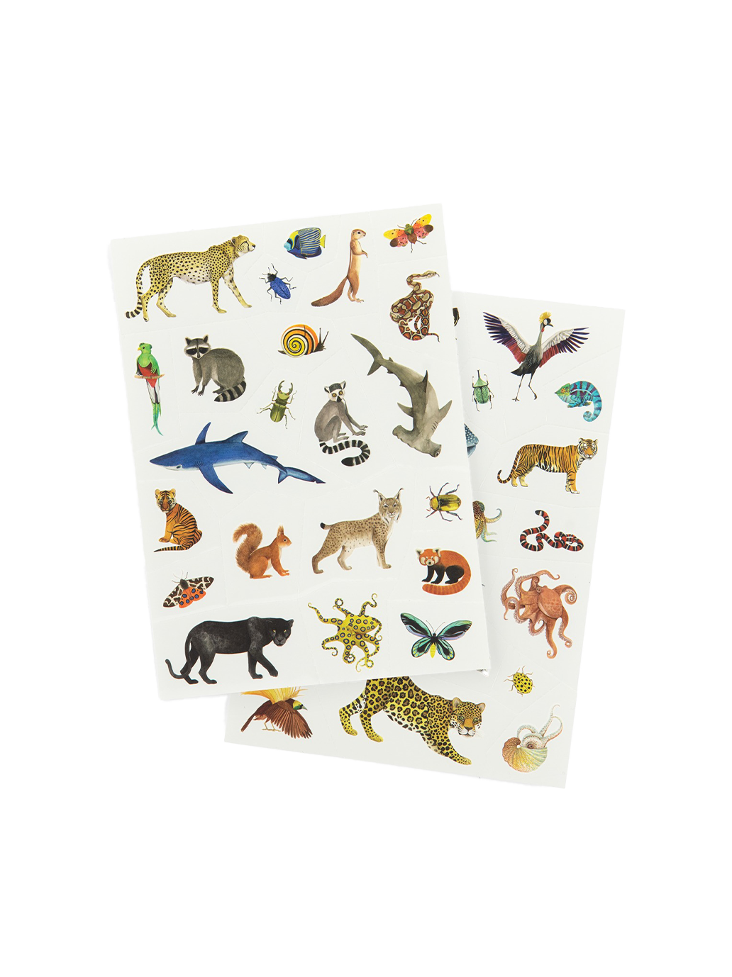 Zmywalne tatuaże Moulin Roty BÉBÉ Concept