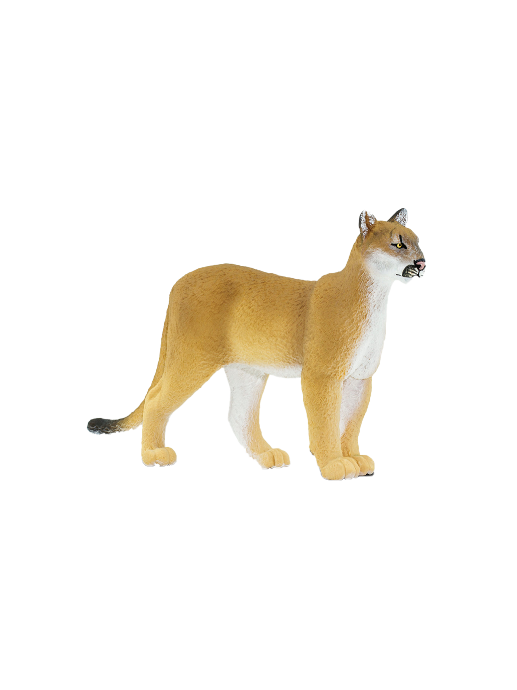Duża figurka puma FLORIDA PANTHER - Main Image
