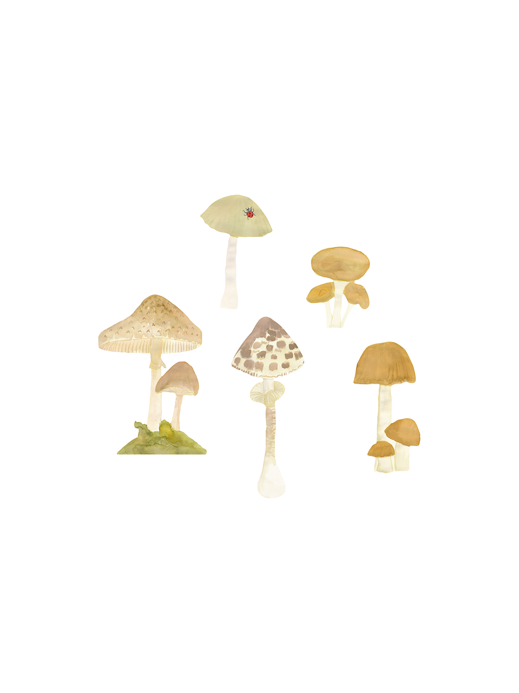 Naklejka ścienna Wallstories Forest That's Mine BÉBÉ Concept