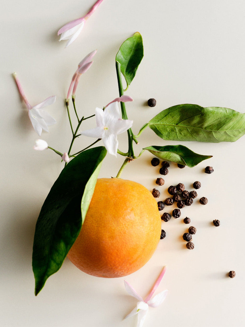 Scented candle Jasmine