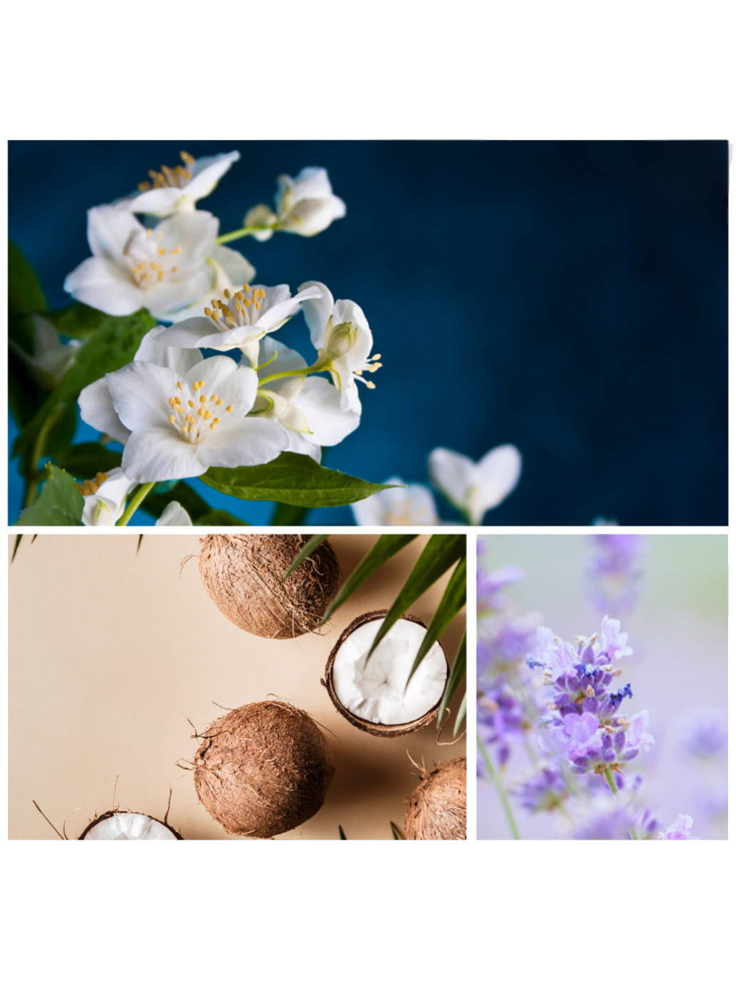 Pianka do kąpieli dla dzieci Dresdner Essenz BÉBÉ Concept