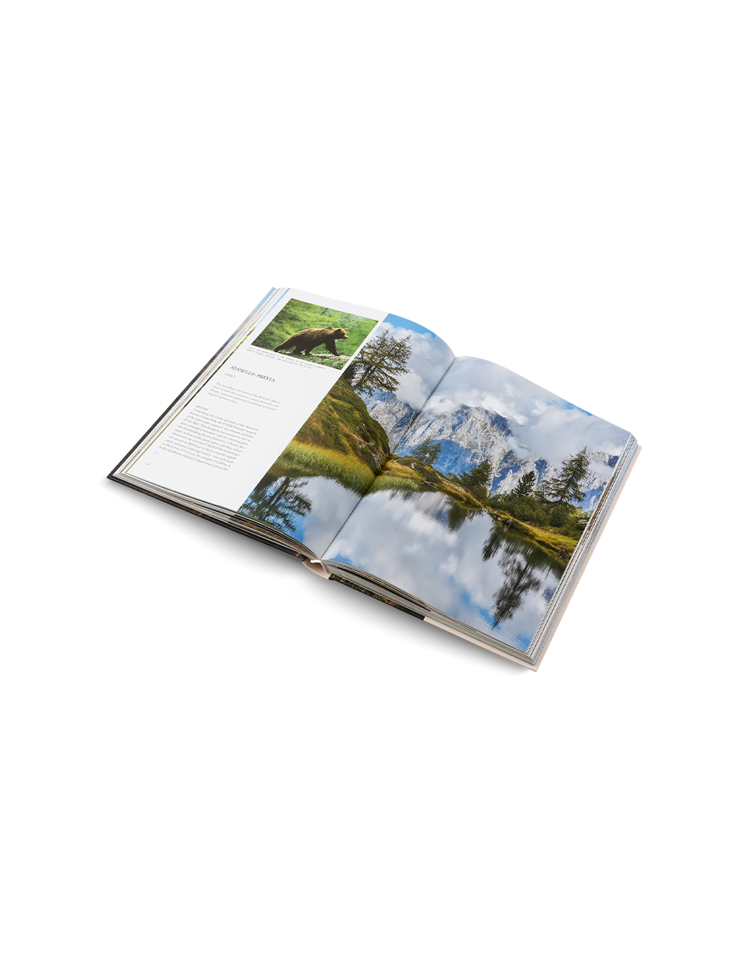 THE UNESCO GLOBAL GEOPARKS Gestalten BÉBÉ Concept