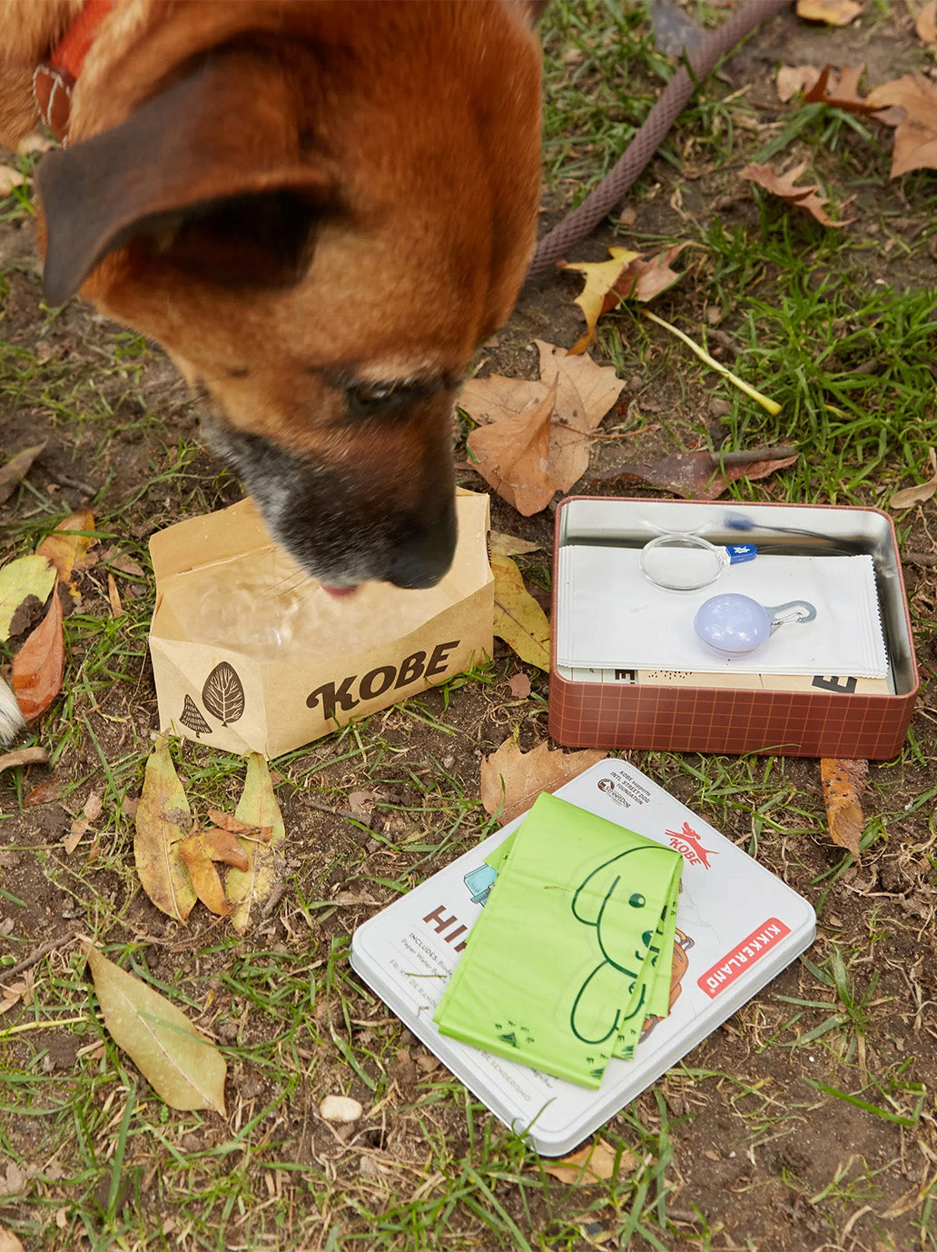 Zestaw dla psa Kobe Dog Hiking Kit Kikkerland BÉBÉ Concept