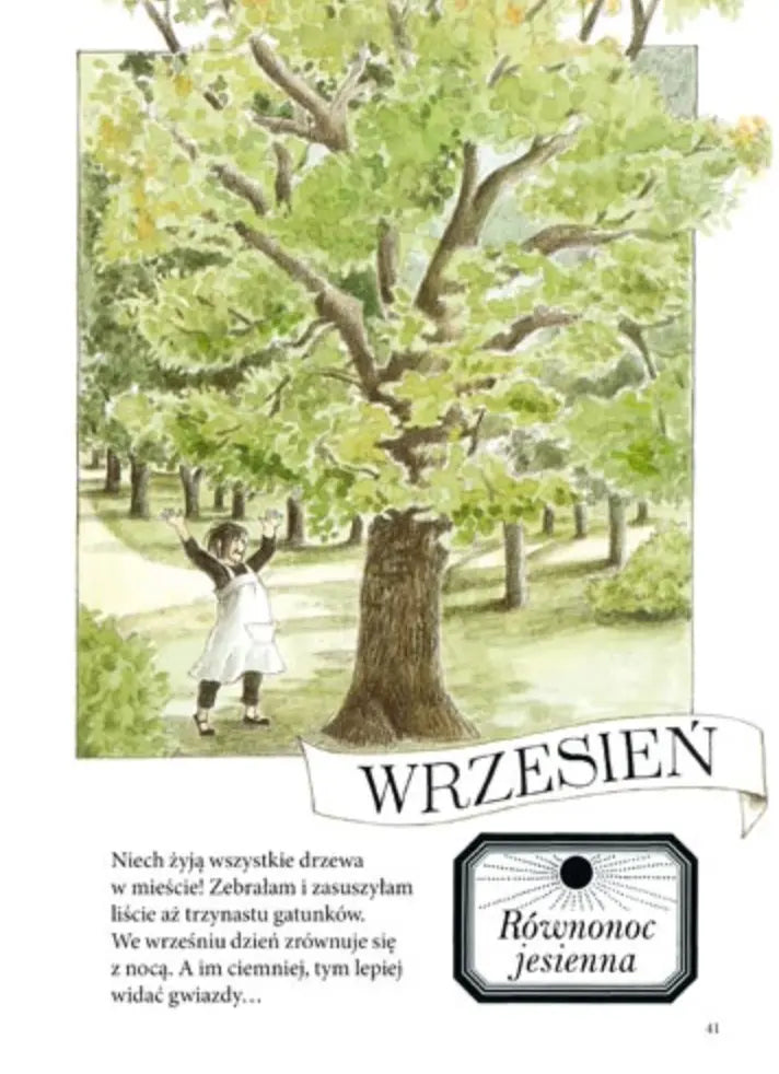 Rok z Linneą Wydawnictwo Zakamarki BÉBÉ Concept