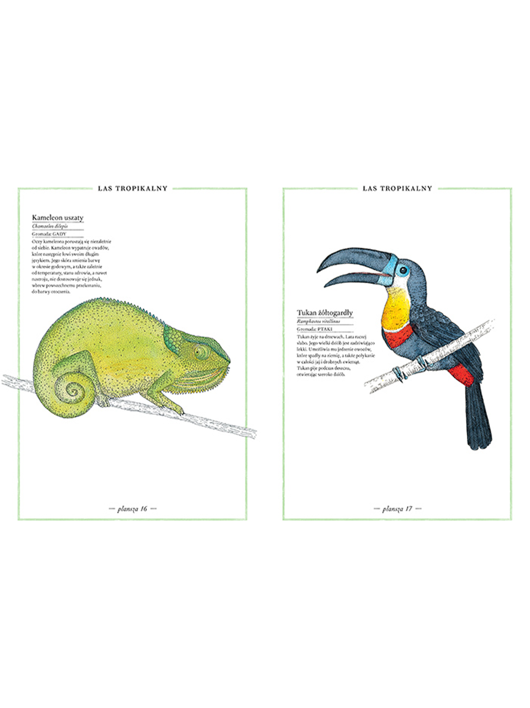 Ilustrowany inwentarz zwierząt Wydawnictwo Zakamarki BÉBÉ Concept