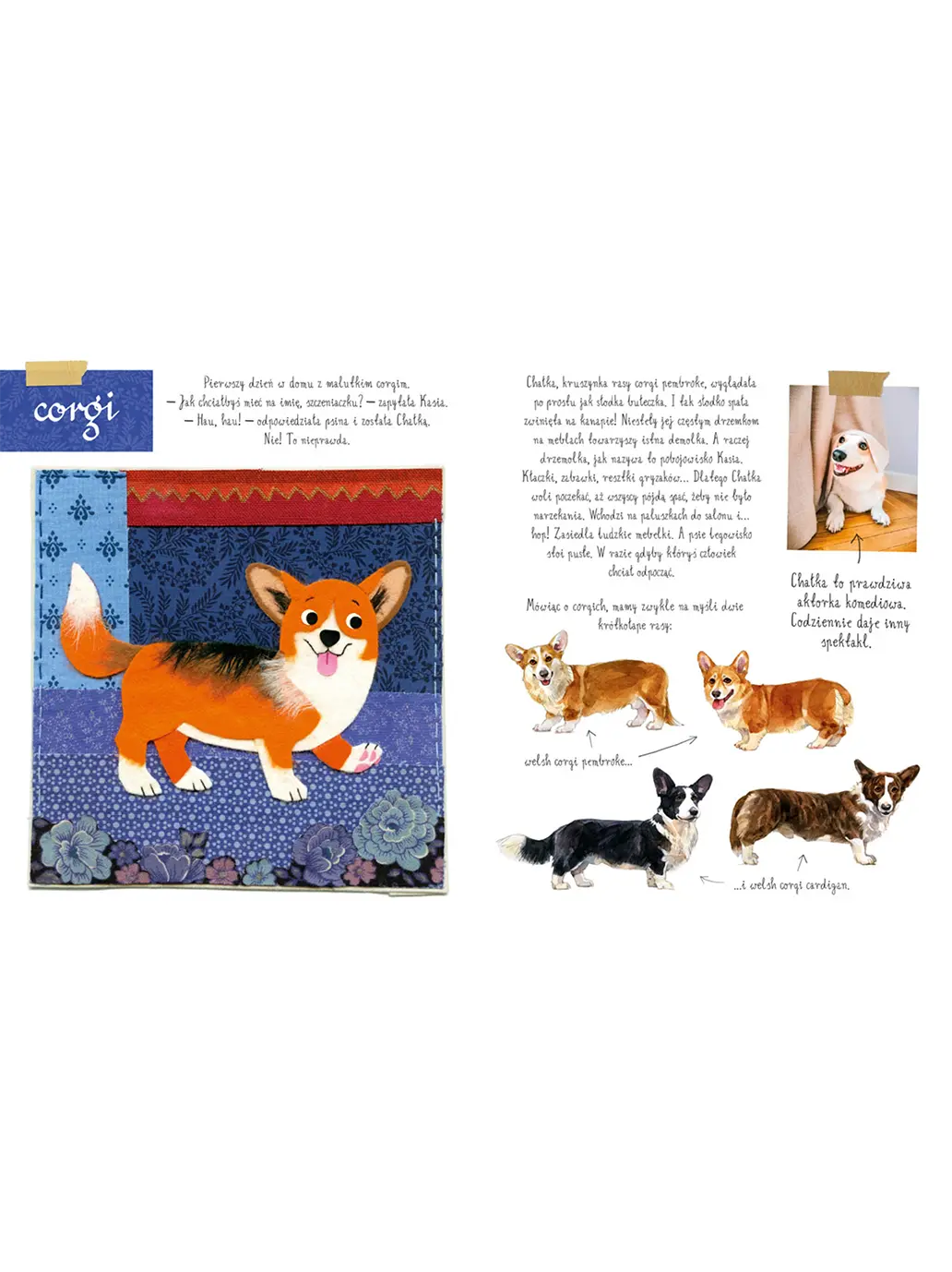 Mały atlas psów i szczeniaków Ewy i Pawła Pawlaków Wydawnictwo Nasza Ksiegarnia BÉBÉ Concept