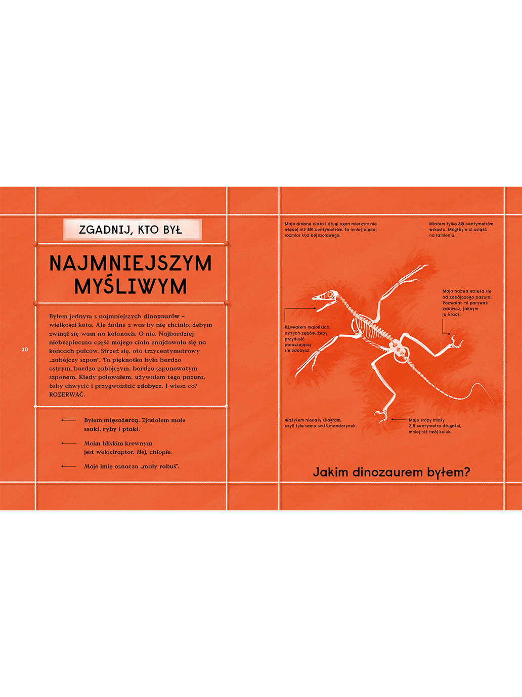 Księga dinozaurów. 10 prehistorycznych zwierząt, które biją wszelkie rekordy Wydawnictwo Kropka BÉBÉ Concept