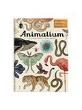 W Muzeum. Animalium Wydawnictwo Dwie Siostry BÉBÉ Concept
