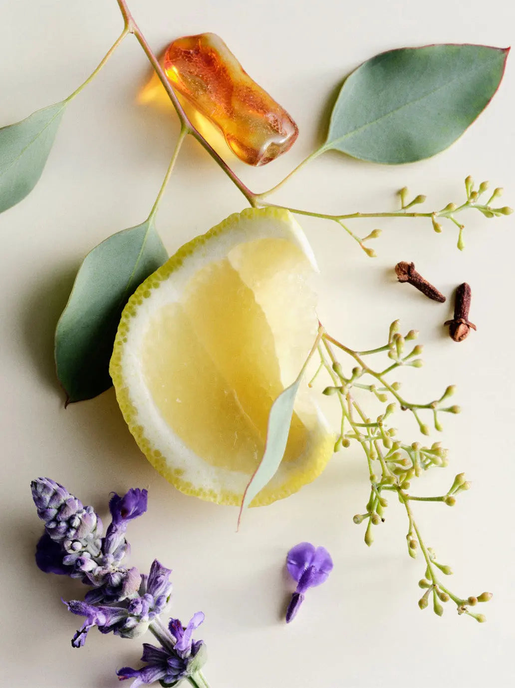Naturalne perfumy w olejku No. 10 Maison Louis Marie BEBE Concept