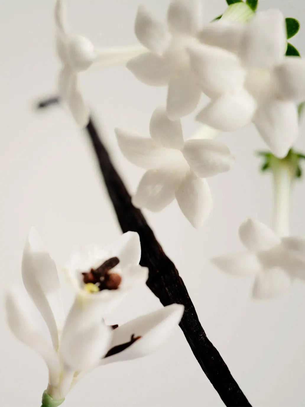 Naturalne perfumy w olejku No. 03 Maison Louis Marie BEBE Concept