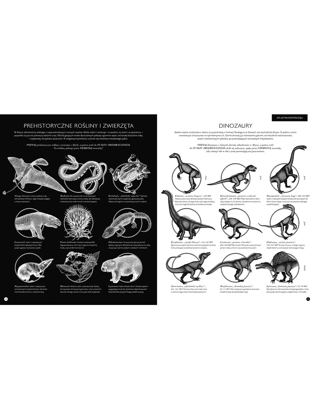Gabinet dinozaurów Wydawnictwo Dwie Siostry BÉBÉ Concept