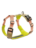 Szelki dla psa Y-2 Harness Aktiv Cloud7 BEBE Concept