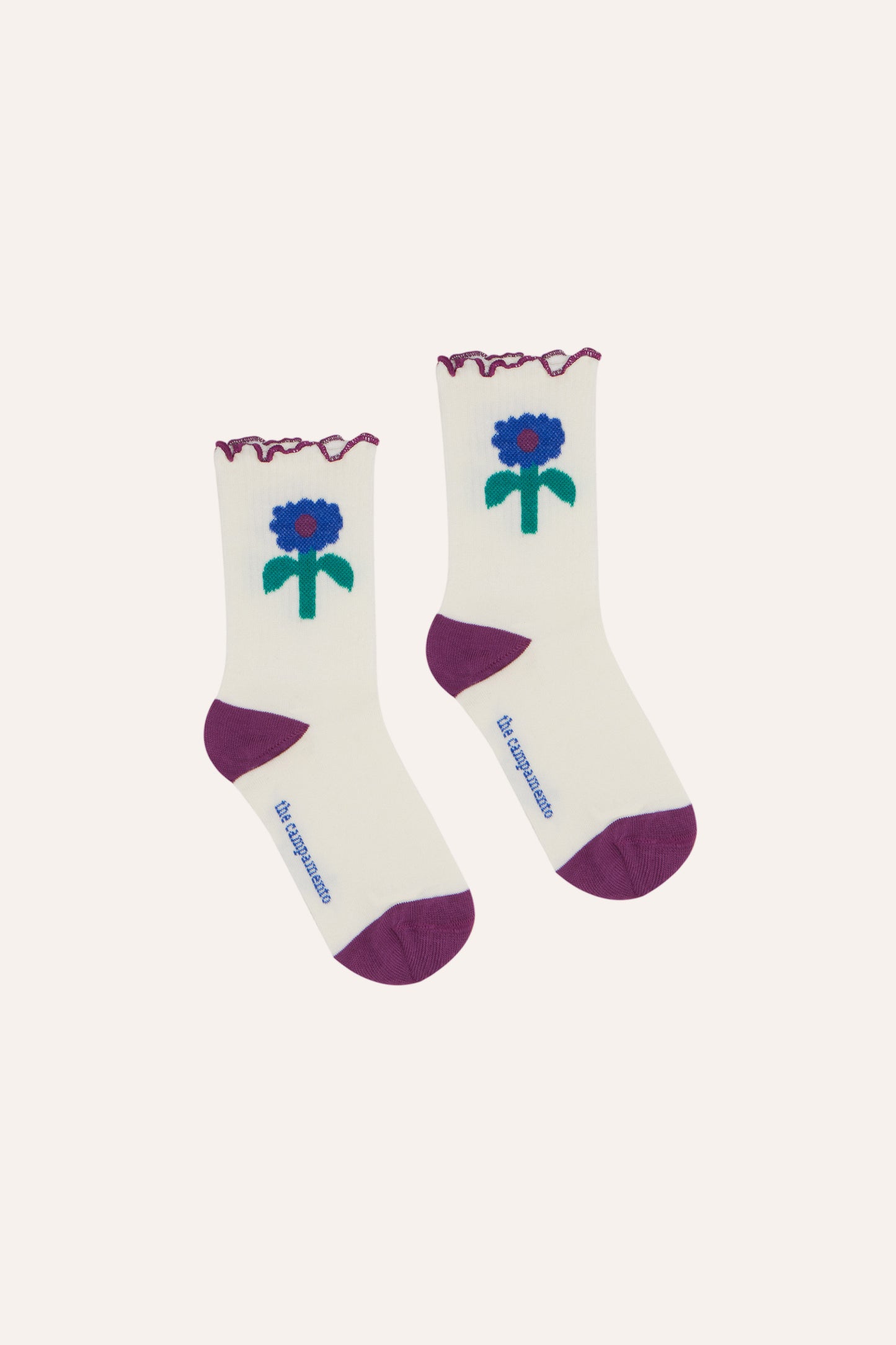 Blue Daisies Socks