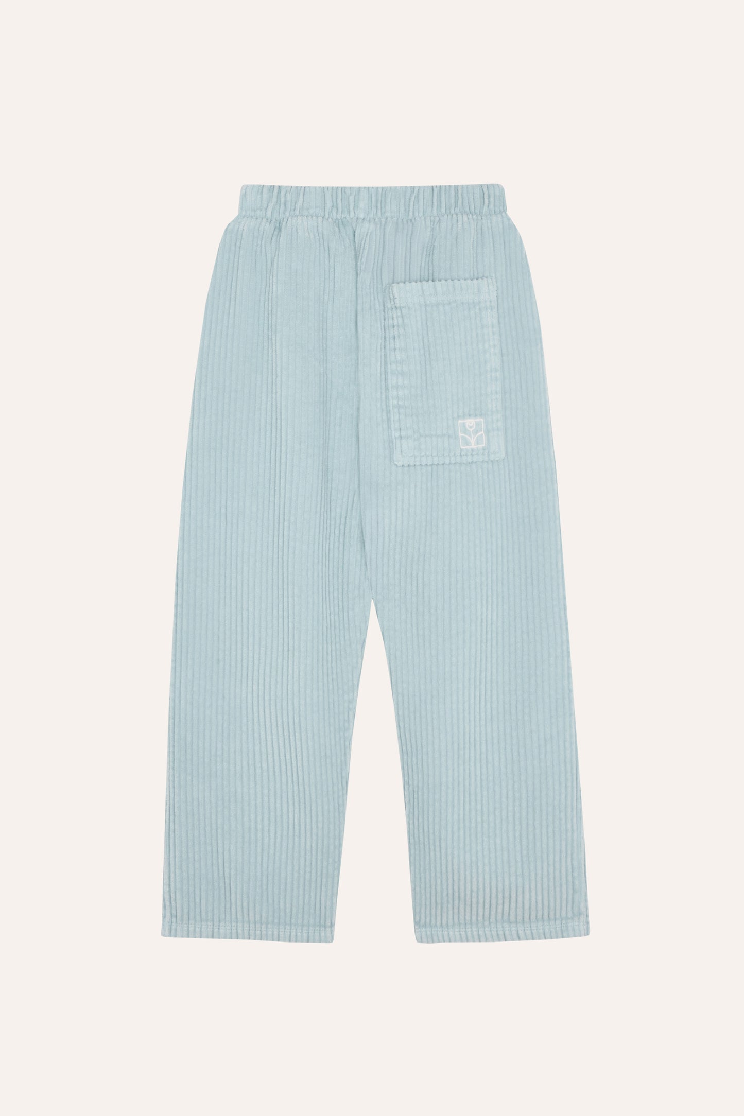 Light Blue Corduroy Trousers