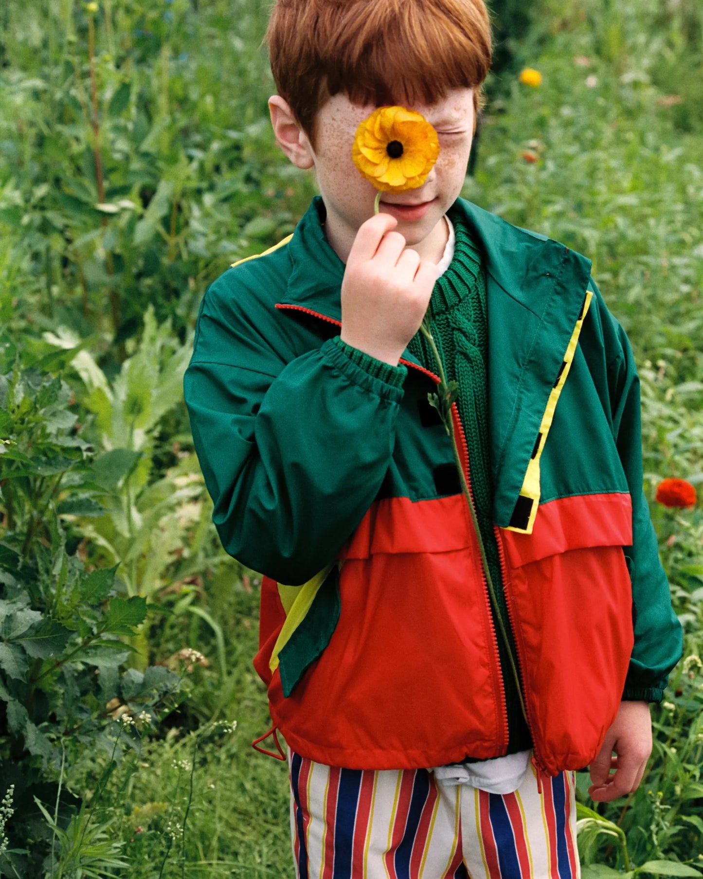 Pansy Jacket Color Block The New Society BEBE Concept