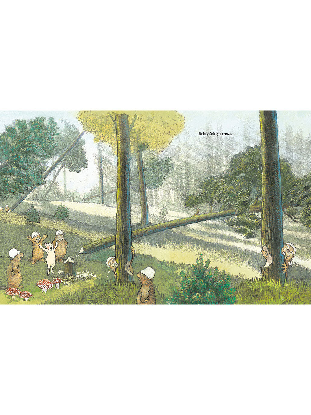 Dom w lesie Wydawnictwo Dwie Siostry BÉBÉ Concept