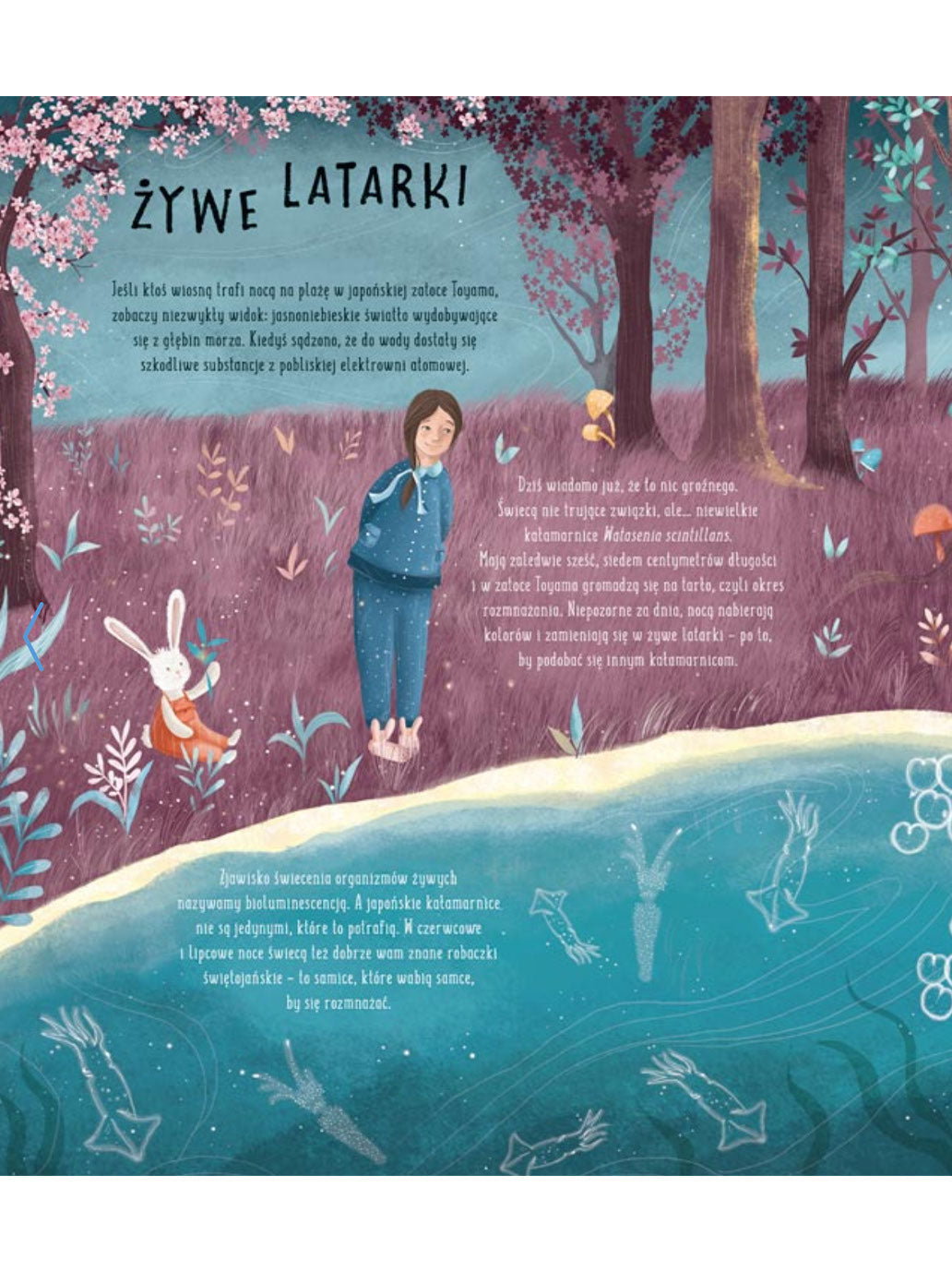 Po ciemku, czyli co się dzieje w nocy Wydawnictwo Nasza Ksiegarnia BÉBÉ Concept