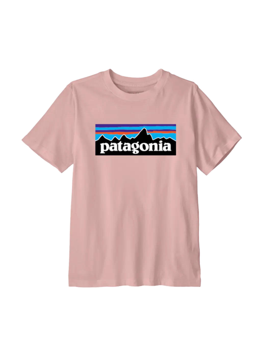 Koszulka kids P-6 Logo T-Shirt Patagonia BEBE Concept