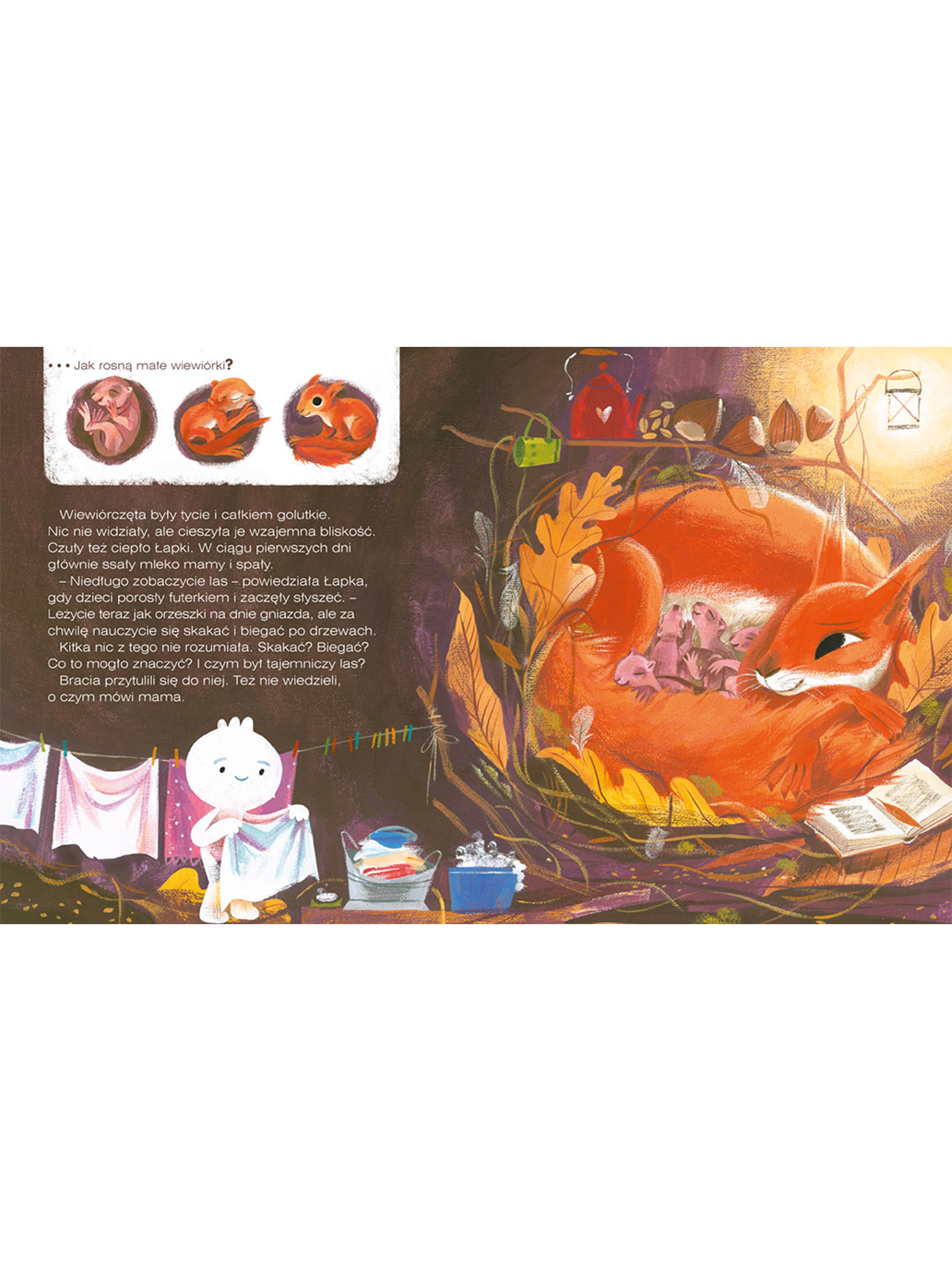 Wiewiórka z lasu Wydawnictwo Nasza Ksiegarnia BÉBÉ Concept