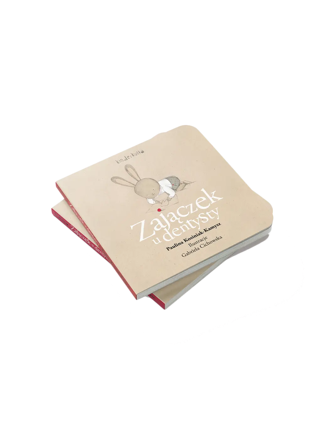 Zajączek u dentysty Wydawnictwo Kinderkulka BÉBÉ Concept