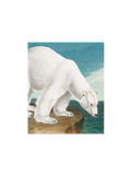 Ozdobna kartka z kopertą Polar Bear Archivist Gallery BÉBÉ Concept