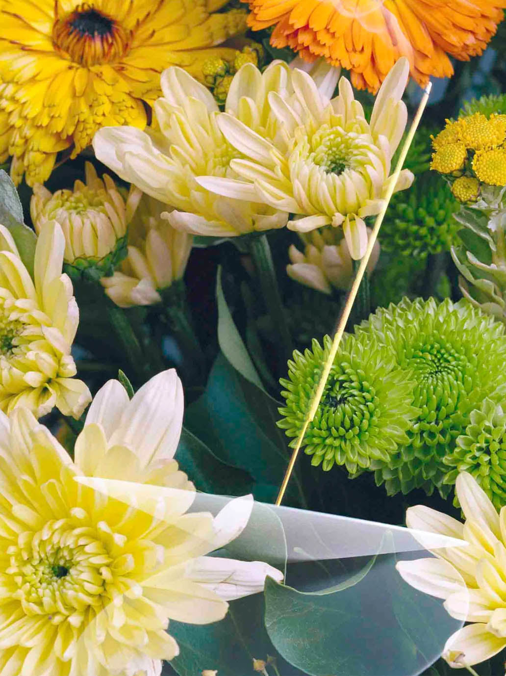 Kadzidła zapachowe Vyrao BÉBÉ Concept