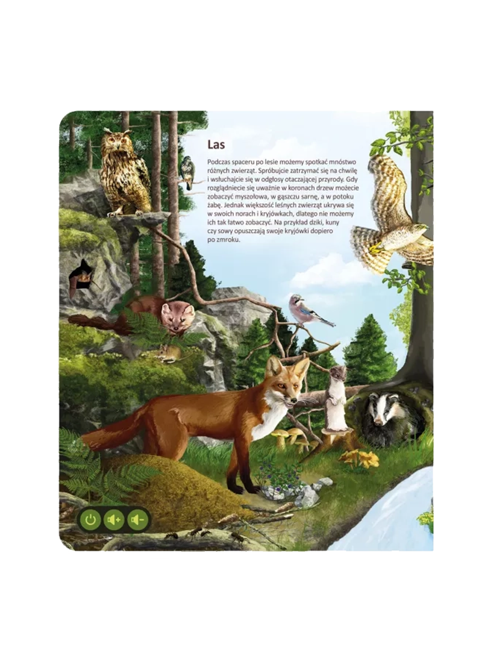 Świat zwierząt. Książka interaktywna Albi BÉBÉ Concept