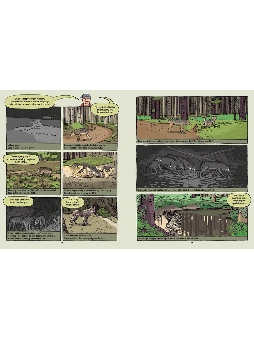 Wilki. Historie prawdziwe Wydawnictwo Dwie Siostry BÉBÉ Concept