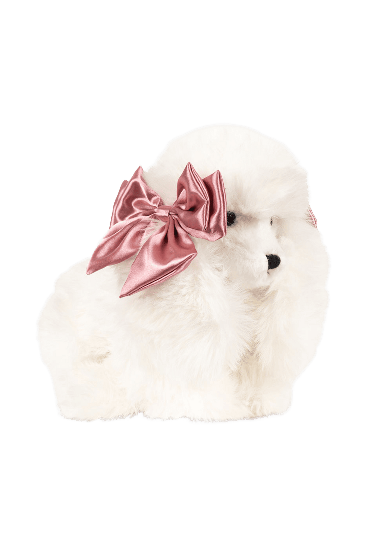 Jouet câlin pour chiot Spitz