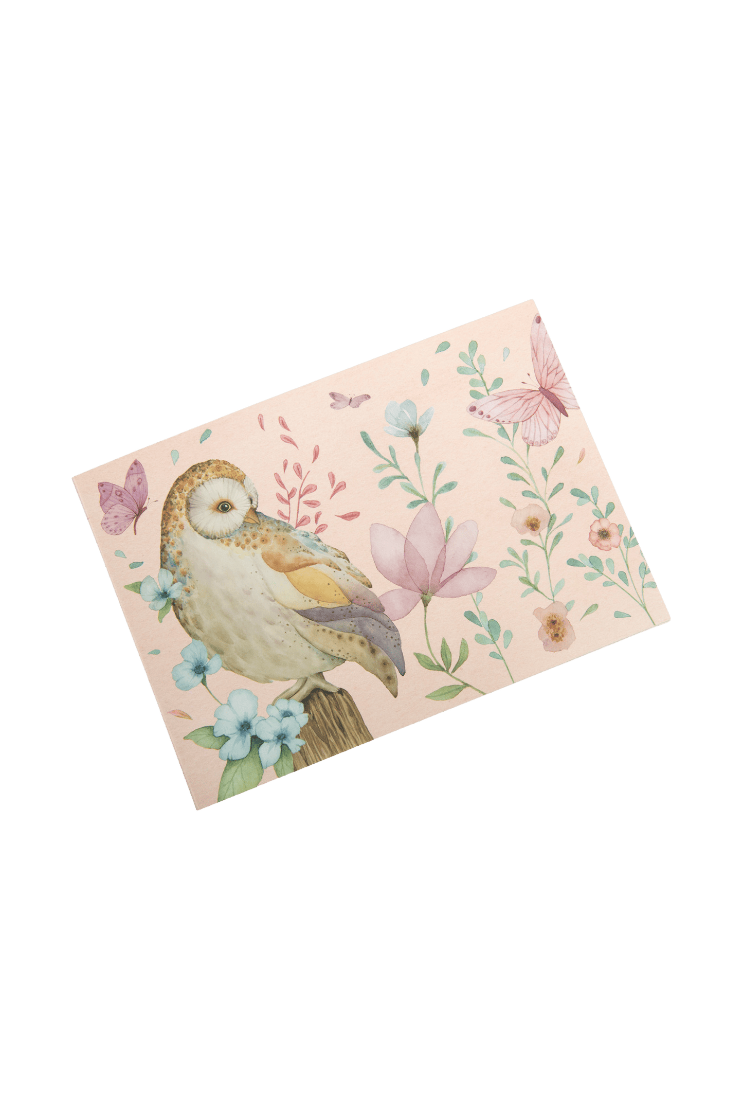 Drawing Book Les Rosalies