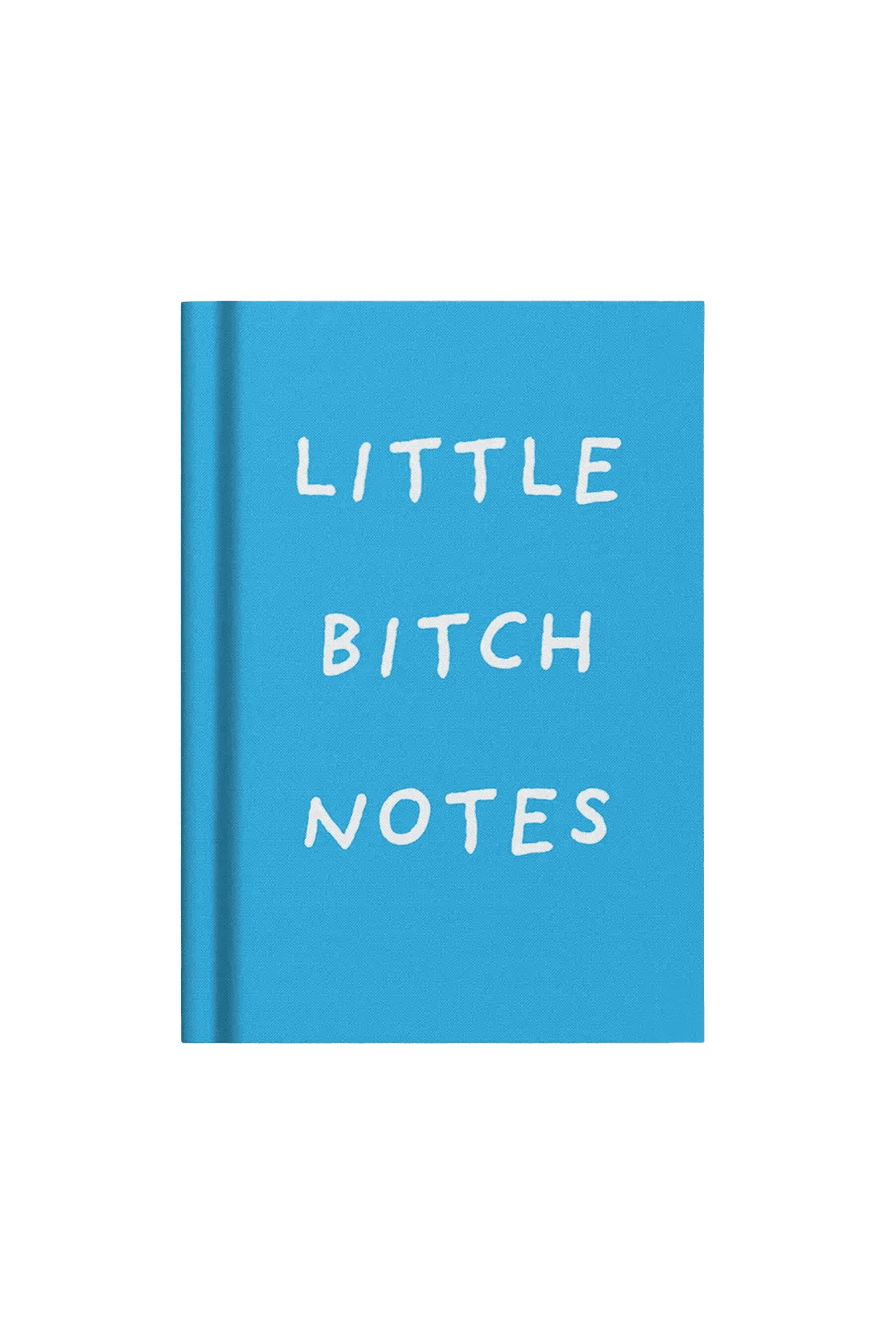 Mini notatnik Little Bitch Notes