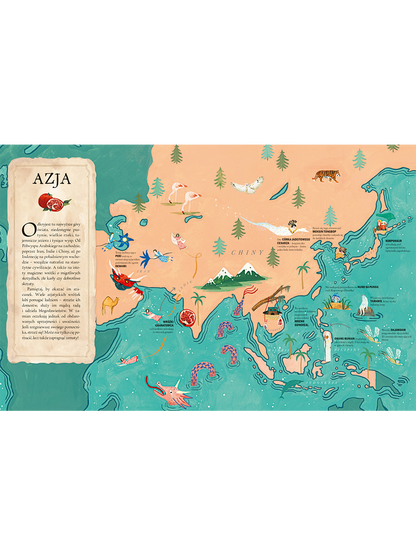 Atlas Wróżek Wydawnictwo Nasza Ksiegarnia BÉBÉ Concept