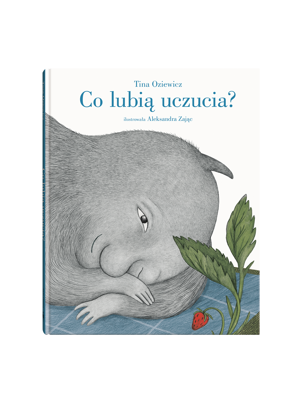 Co lubią uczucia? Wydawnictwo Dwie Siostry BÉBÉ Concept