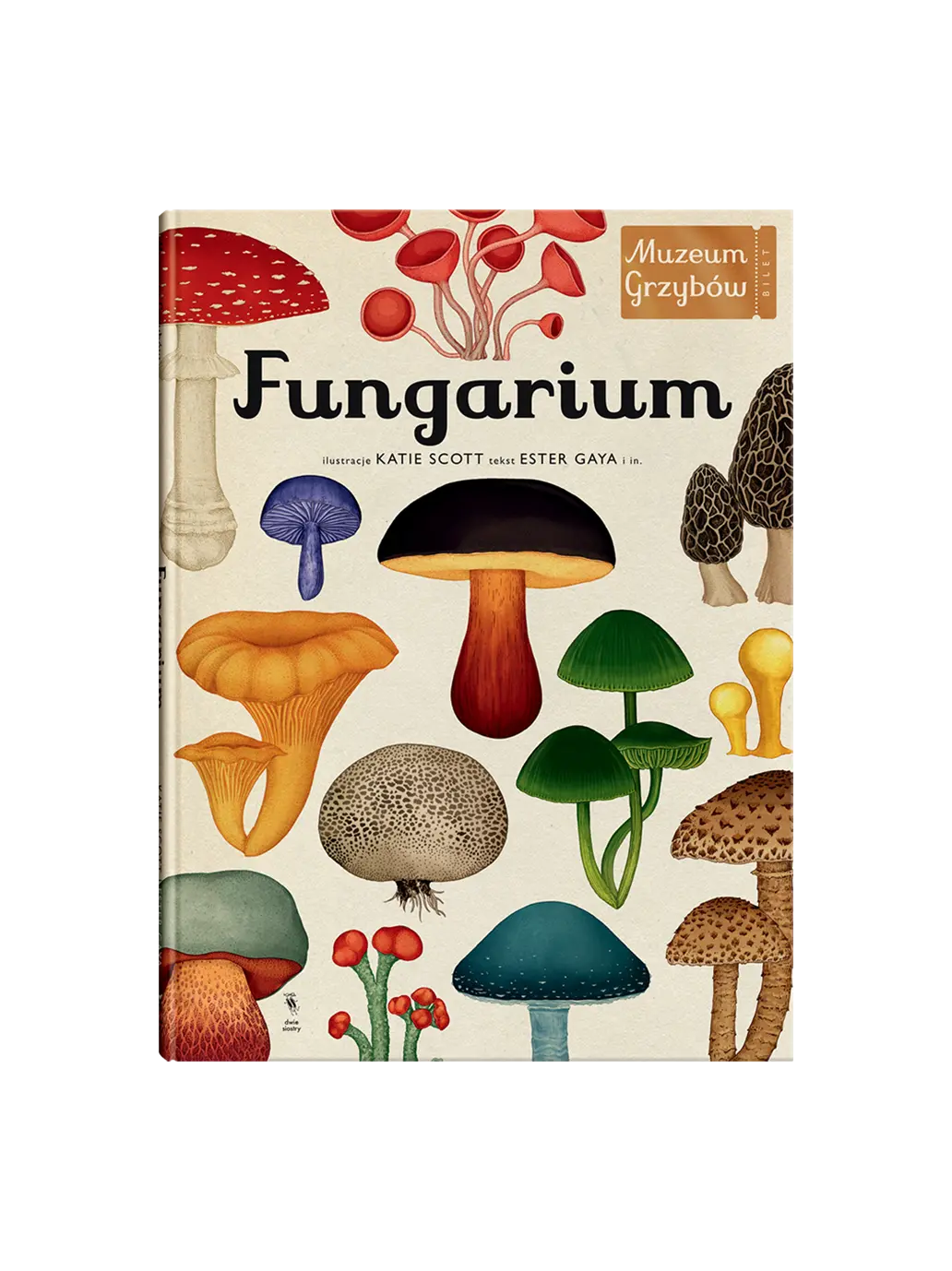 W Muzeum. Fungarium Wydawnictwo Dwie Siostry BÉBÉ Concept