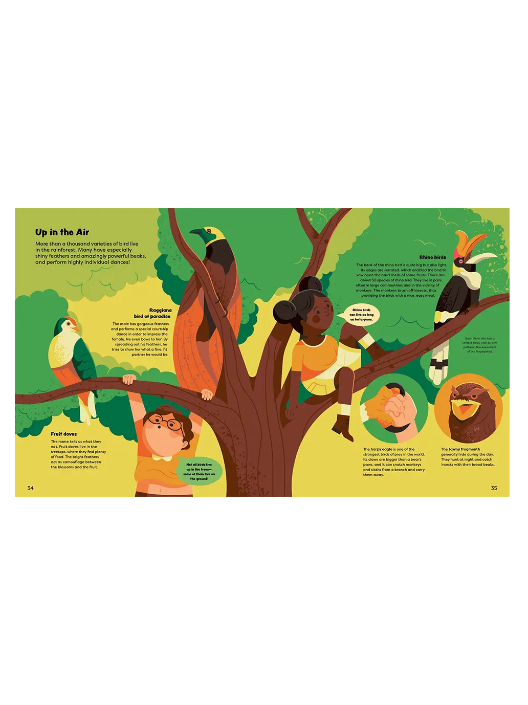 Explore the Rainforest Little Gestalten BÉBÉ Concept