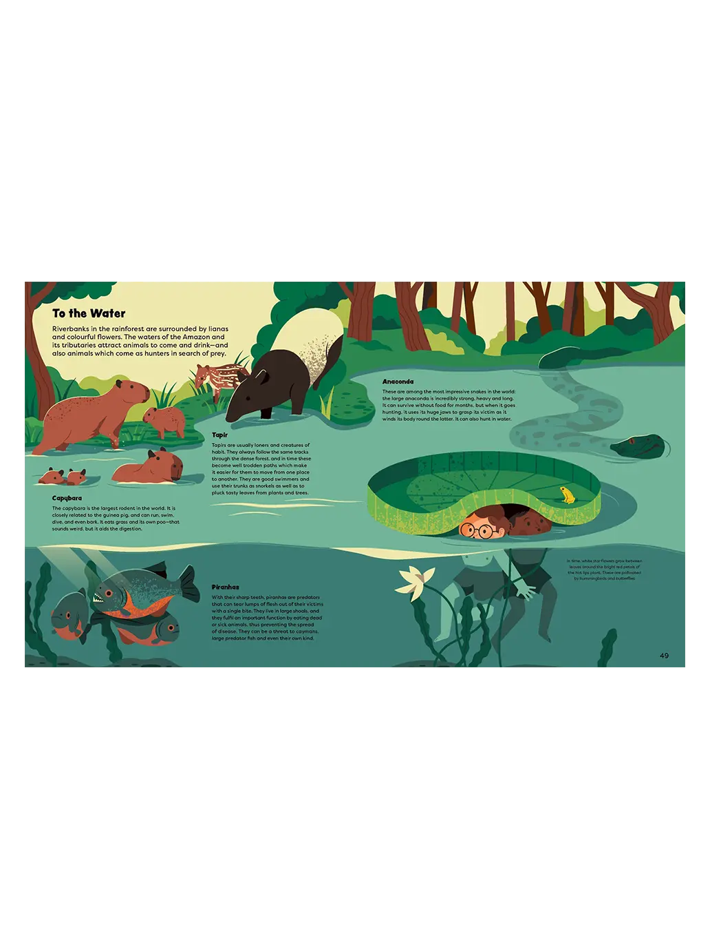 Explore the Rainforest Little Gestalten BÉBÉ Concept