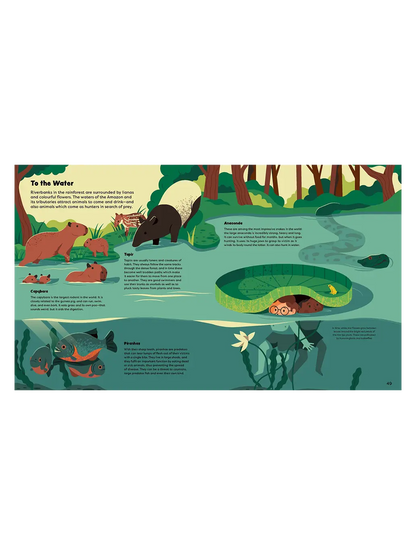 Explore the Rainforest Little Gestalten BÉBÉ Concept