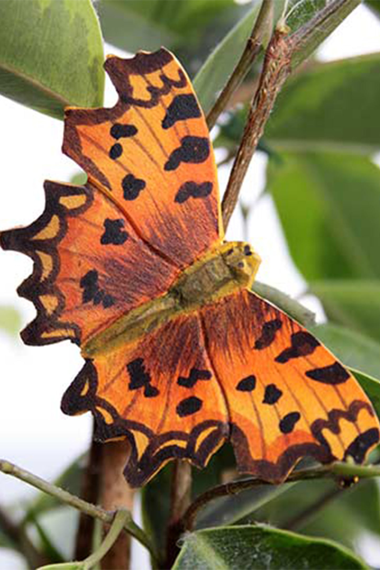 Drewniany magnes Comma Butterfly