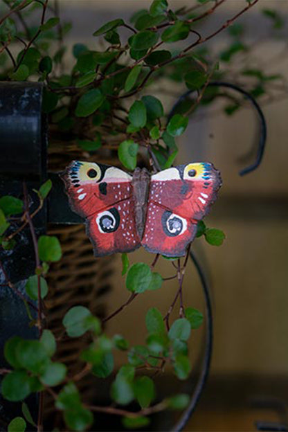 Wooden Magnet Butterfly Peacock