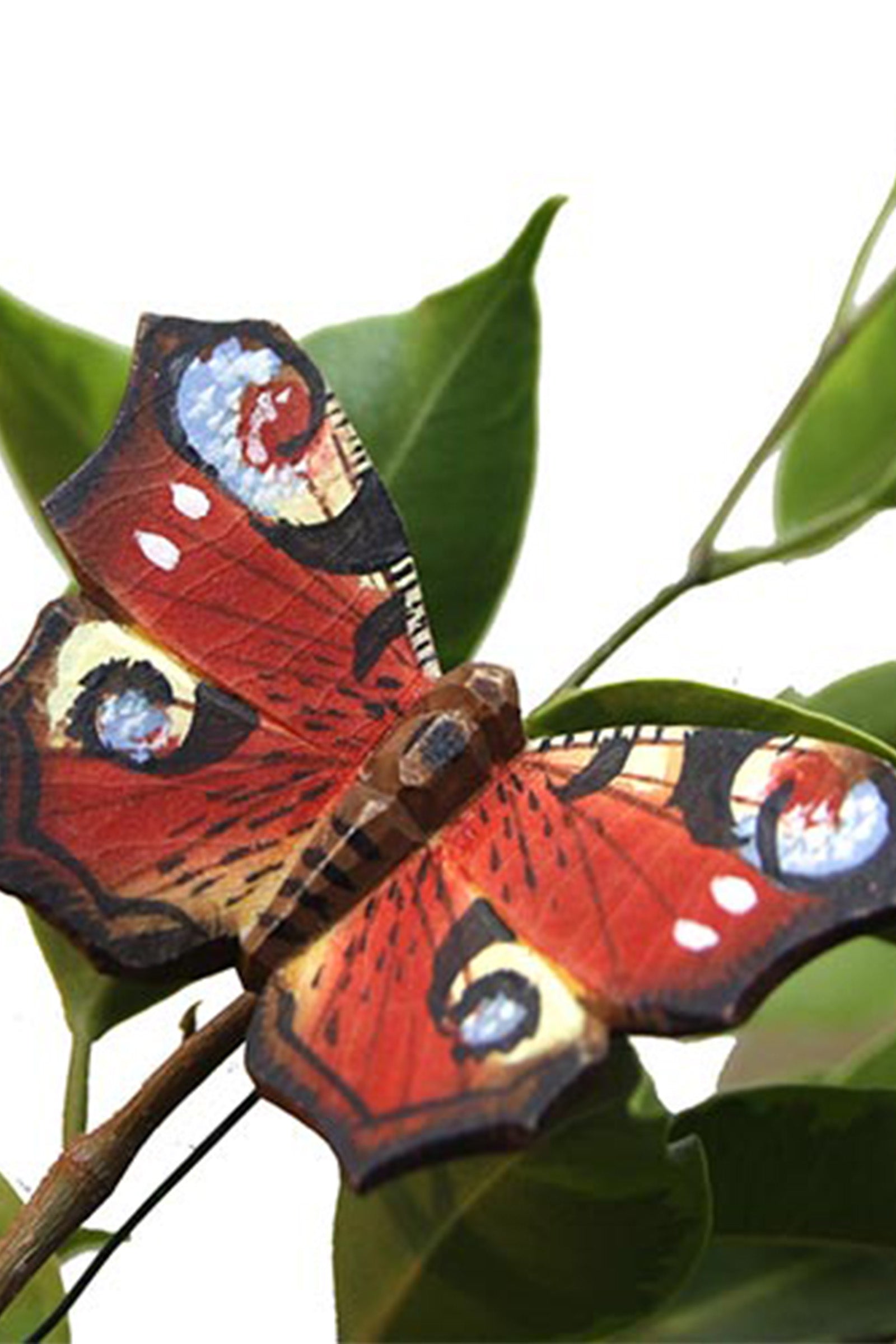 Wooden Magnet Butterfly Peacock