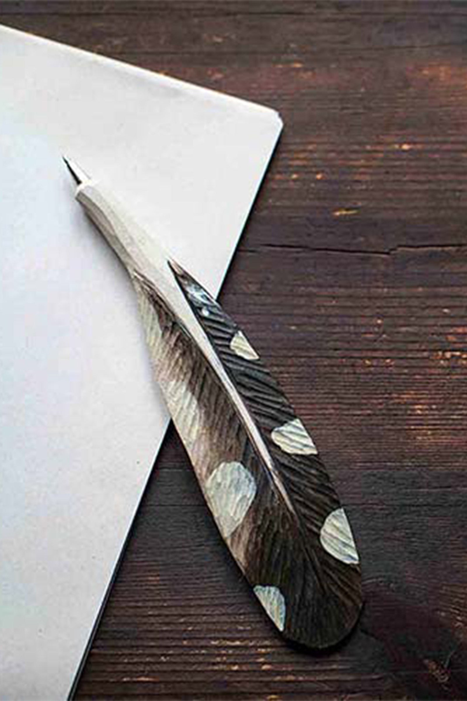 Wooden Pen Woodpecker Feather
