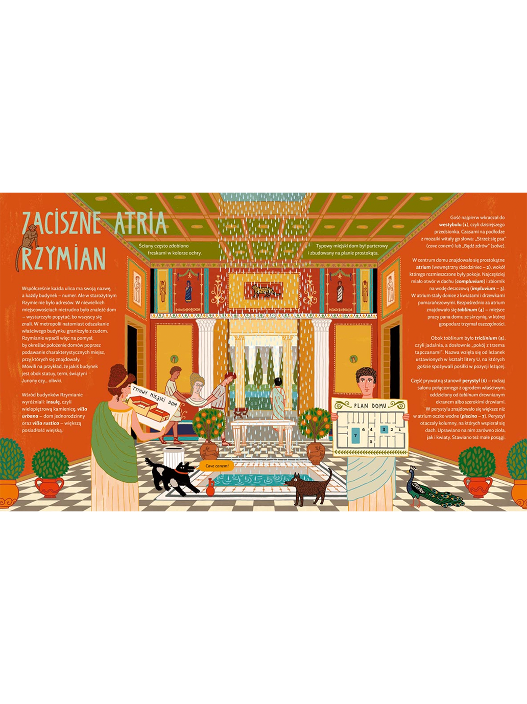 Nasze cztery kąty, czyli jak dawniej mieszkano Wydawnictwo Nasza Ksiegarnia BÉBÉ Concept 