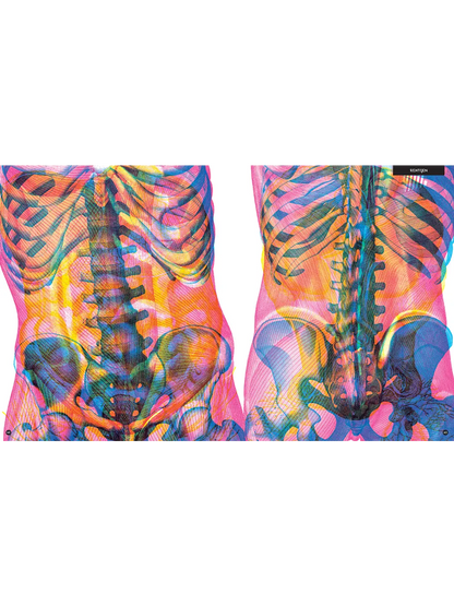 Gabinet anatomii Wydawnictwo Dwie Siostry BÉBÉ Concept