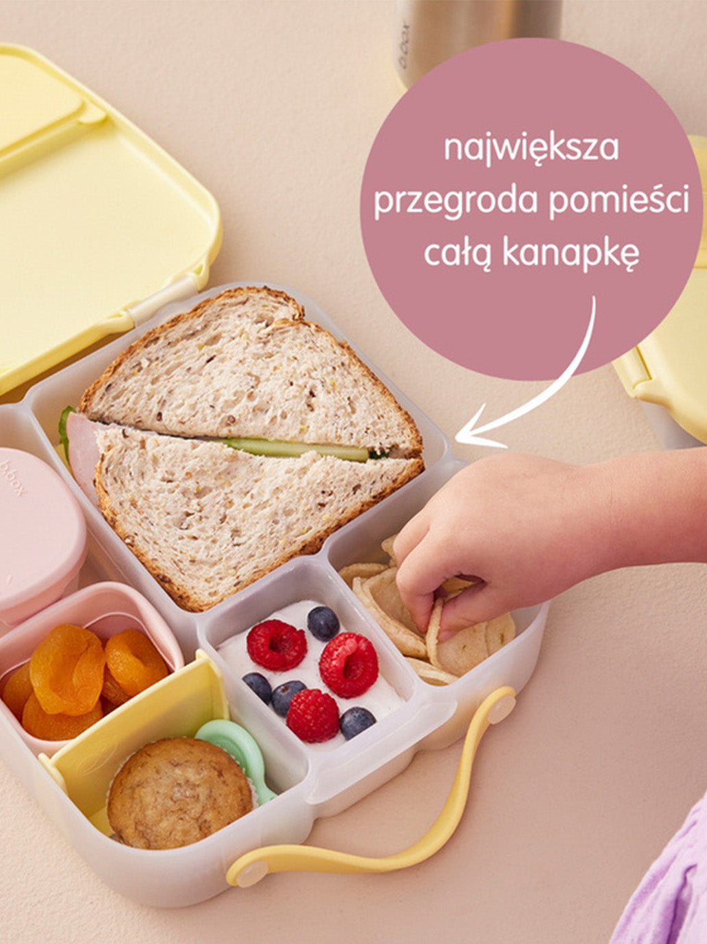 Duży szczelny lunchbox z przegródkami B.Box BÉBÉ Concept 