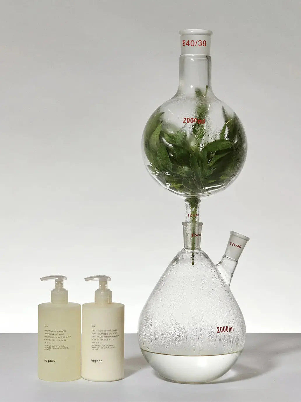 Odżywczy szampon chelatujący do włosów Bogdao BEBE Concept 