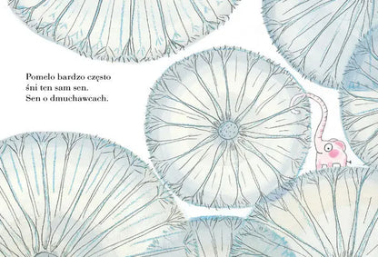 Pomelo śni Wydawnictwo Zakamarki BÉBÉ Concept