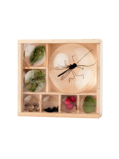 Organizer na skarby Huckleberry My Little Museum Kikkerland BÉBÉ Concept 