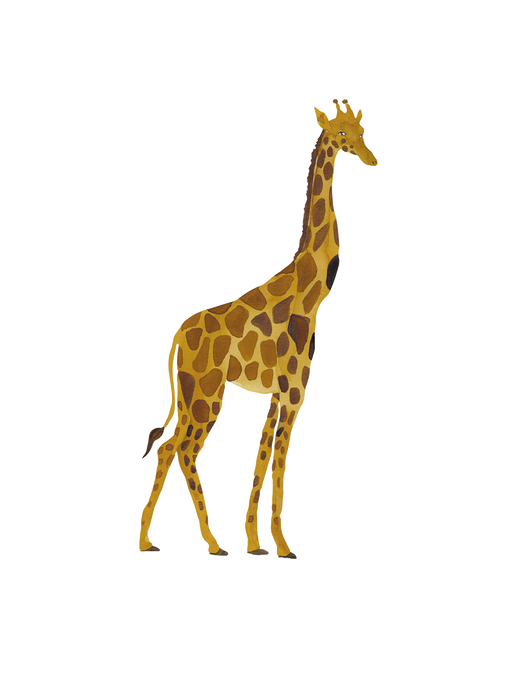 Naklejka ścienna Wallstories giraffe