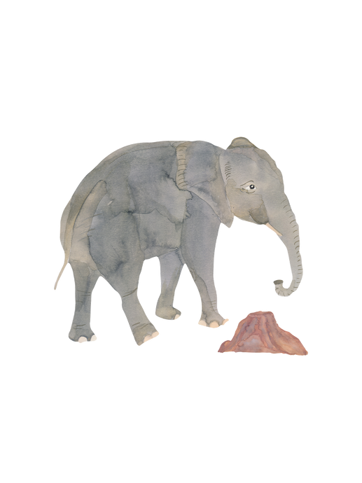 Naklejka ścienna Wallstories elephant